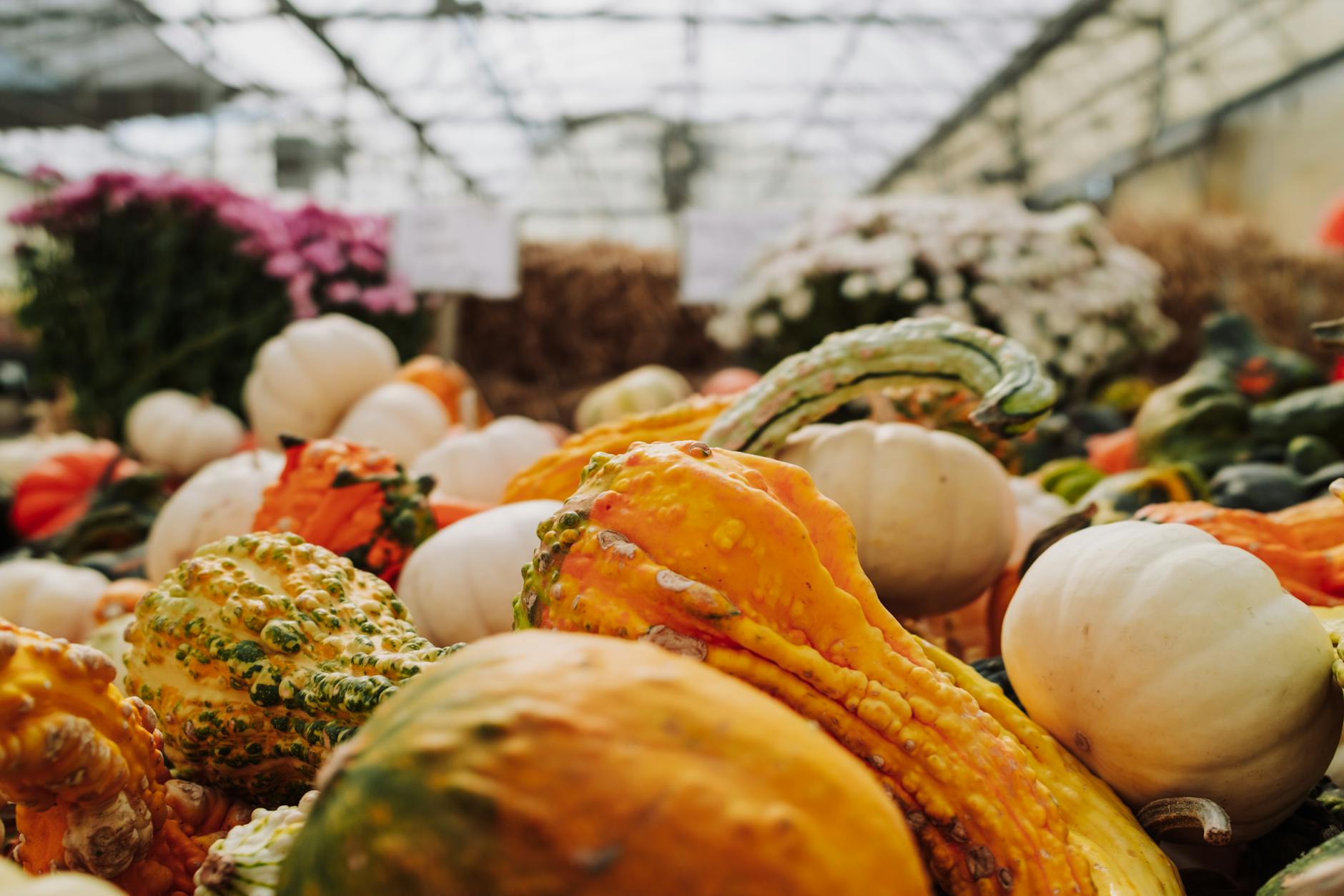 Légumes de saison en hiver : janvier, février, mars, le règne des racines — légumes de saison hiver printemps été automne