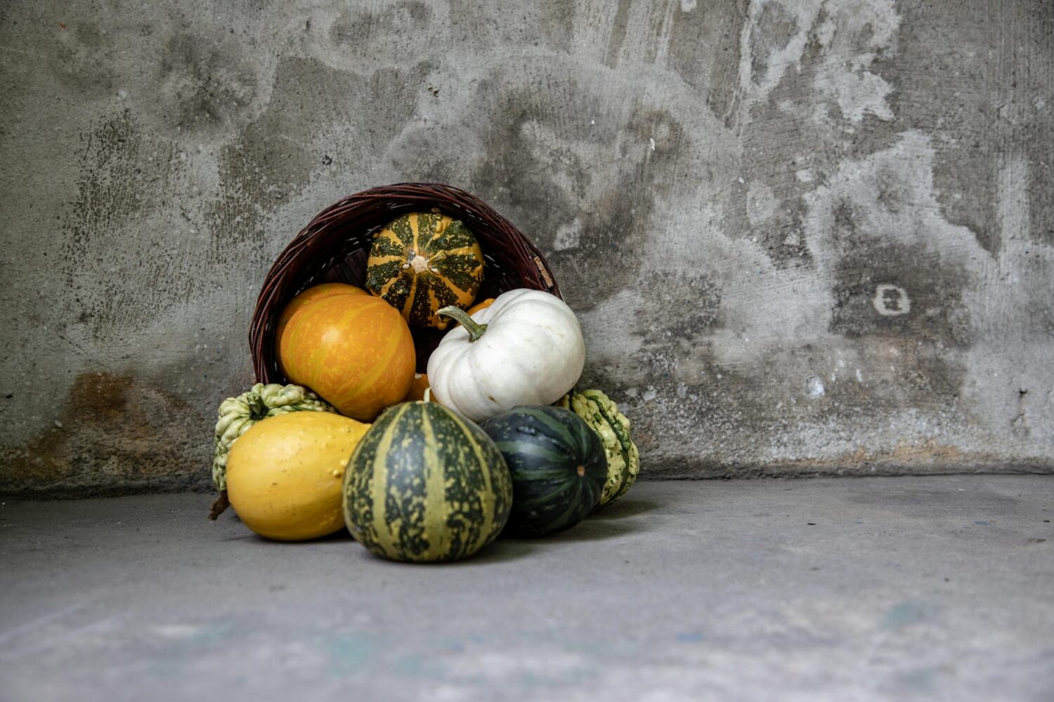 Légumes de saison : le calendrier complet mois par mois
