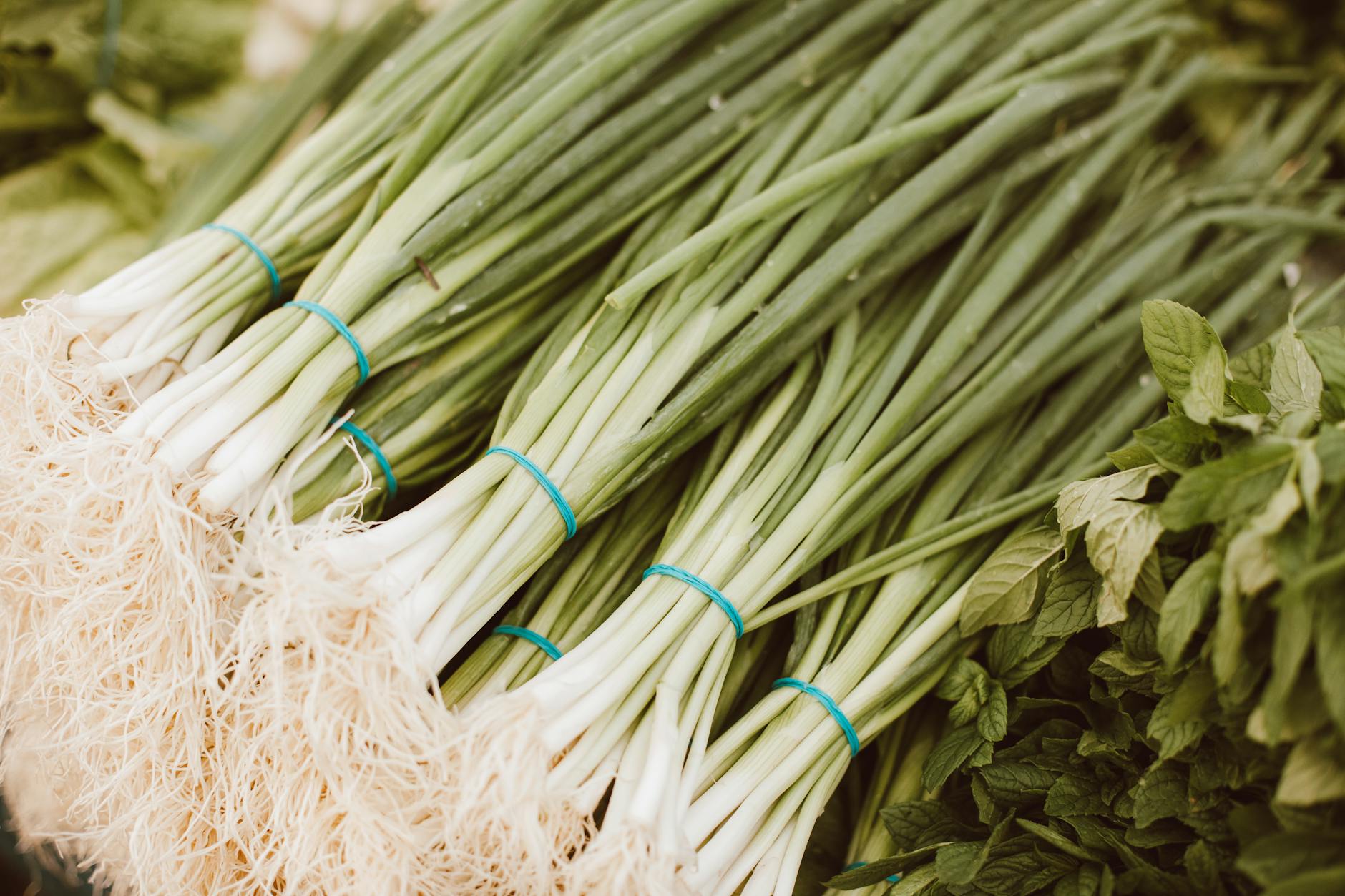 Cébette tout savoir sur cet — botte d'oignons verts frais cuisine