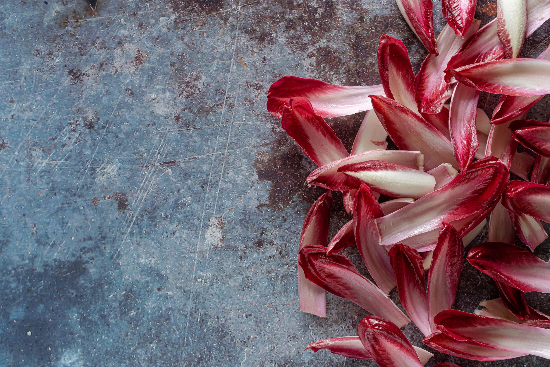 Endives braisées fondantes : comprendre le légume pour mieux le cuisiner en hiver — endives braisées plat d'hiver