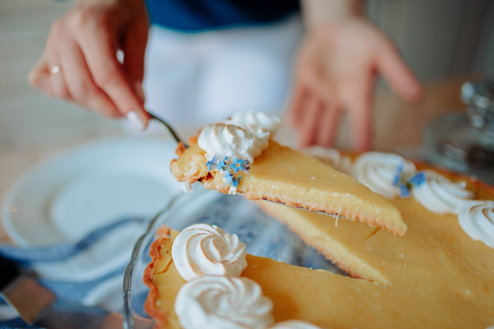 Tarte au citron et grossesse : identifier les vrais risques avant de se priver — part de tarte au citron avec meringue