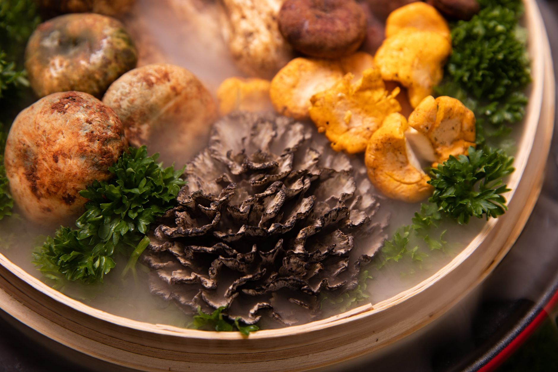 Trompettes de la mort à la crème : la recette qui fait aimer ce champignon à tout le monde — plat de trompettes de la mort